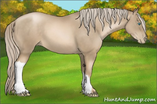 Horse Color:Chocolate Palomino Pearl 