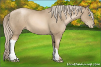 Horse Color:Chocolate Palomino Pearl 