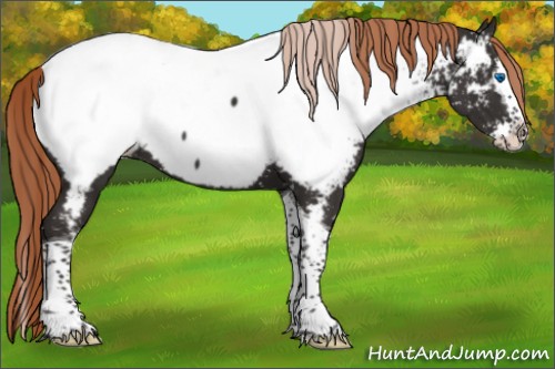 Horse Color:White Spotted Liver Chestnut Splash Tobiano Near Fewspot 