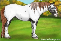 Horse Color:White Spotted Liver Chestnut Splash Tobiano Near Fewspot