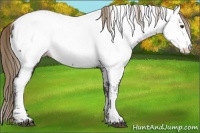 Horse Color:White Spotted Liver Chestnut Splash Tobiano Near Fewspot 