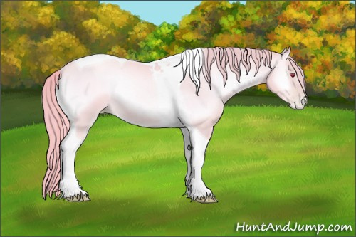 Horse Color:Watercolor Red Onyx Chinchilla Pearl Tobiano Rabicano