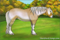 Horse Color:Watercolor Silver Bay Roan Onyx 