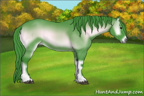 Horse Color:Watercolor Blue Onyx Chinchilla 