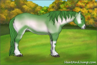 Horse Color:Watercolor Blue Onyx Chinchilla 