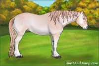 Horse Color:Watercolor Red Onyx Chinchilla Roan 