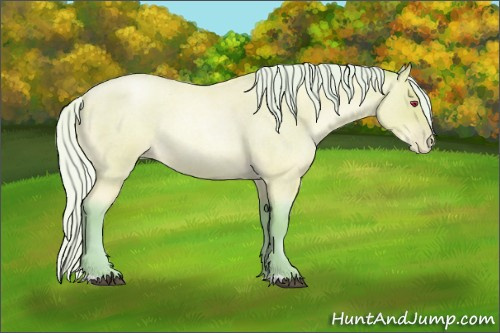 Horse Color:Watercolor Silver Bay Chinchilla Roan Pearl Rabicano