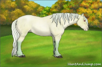 Horse Color:Watercolor Silver Bay Chinchilla Roan Pearl Rabicano 