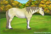 Horse Color:Watercolor Bay Roan Pearl Onyx 