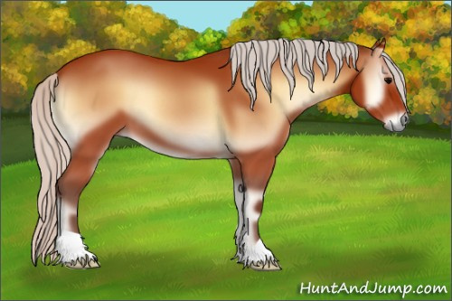 Horse Color:Silver Bay Onyx