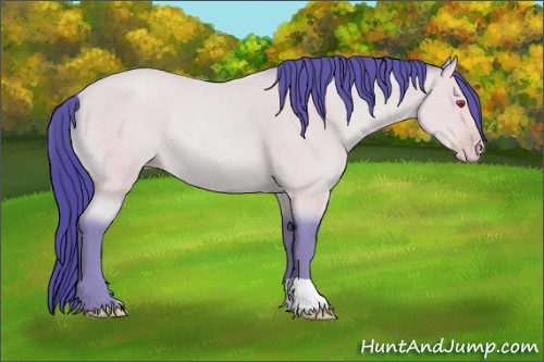 Horse Color:Watercolor Sable Champagne Chinchilla Rabicano