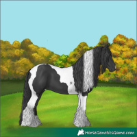 Horse Color:Black Tobiano