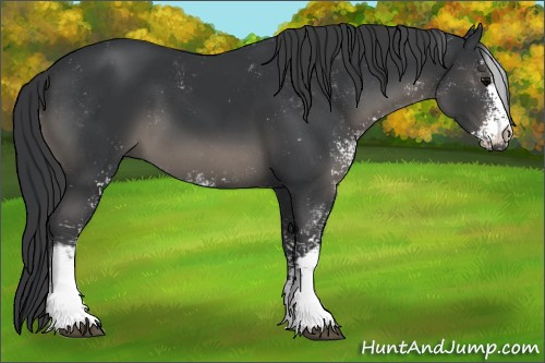 Horse Color:Black Sabino