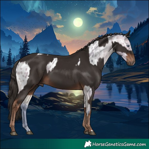 Horse Color:Watercolor Buckskin Chinchilla Blanket and Liver Chestnut