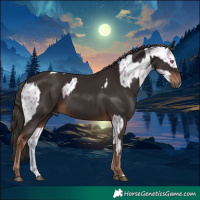 Horse Color:Watercolor Buckskin Chinchilla Appaloosa  and Liver Chestnut 