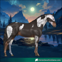 Horse Color:Watercolor Buckskin Chinchilla Blanket  and Liver Chestnut 