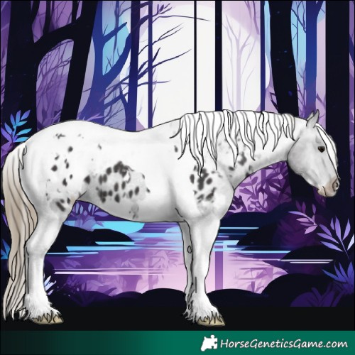 Horse Color:White Spotted Smoky Black Tobiano Appaloosa 