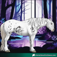 Horse Color:White Spotted Smoky Black Tobiano Appaloosa 