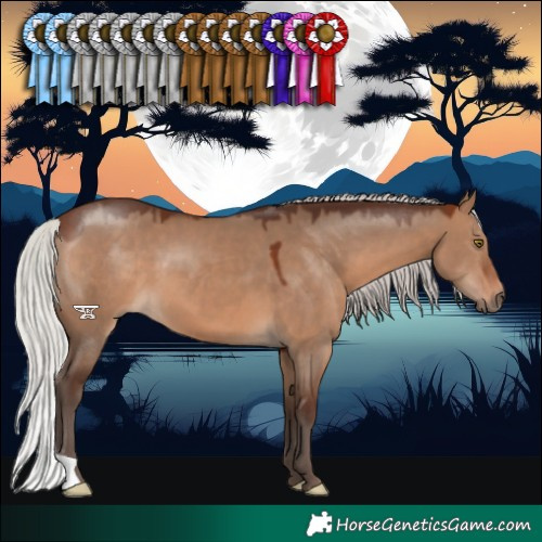 Horse Color:Silver Brown Dun 