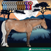 Horse Color:Silver Brown Dun