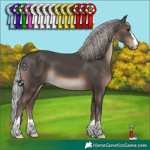Horse Color:Silver Black 