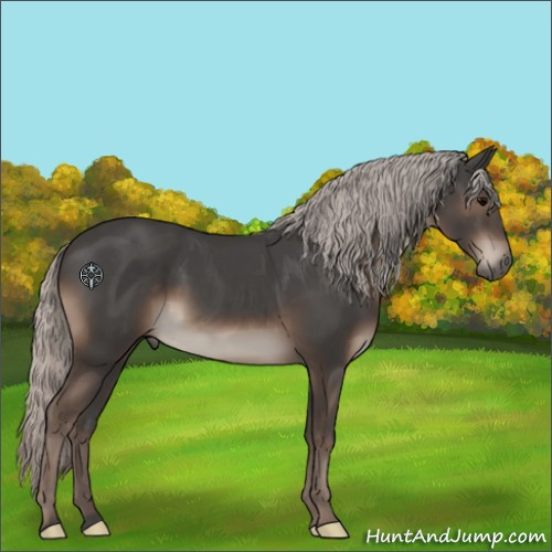 Horse Color:Silver Black 