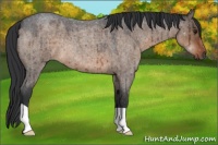 Horse Color:Brown Roan Dun Brindle 