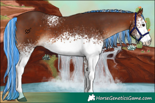 Horse Color:Painted White Spotted Silver Brown 