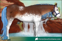 Horse Color:Painted White Spotted Silver Brown 