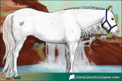 Horse Color:Chocolate Palomino Ice Sabino Splash