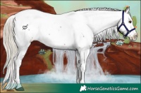 Horse Color:Chocolate Palomino Ice Sabino Splash