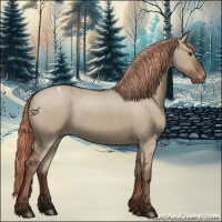 Horse Color:Liver Red Dun Appaloosa 