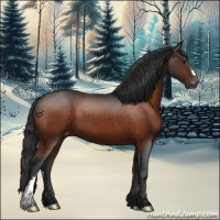 Horse Color:Brown Appaloosa