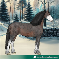 Horse Color:Brown Ice Sabino