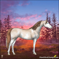Horse Color:Buckskin Pearl Mushroom Splash 