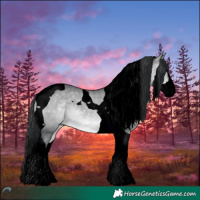 Horse Color:Void Brown Chinchilla Dun Splash Tobiano 
