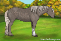 Horse Color:Silver Black 