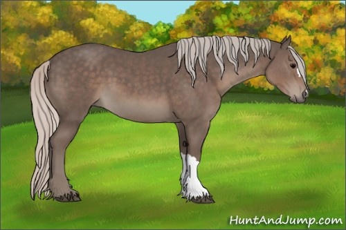 Horse Color:Silver Black 