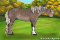 Horse Color:Silver Black 