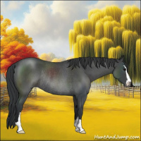 Horse Color:Blue Roan Sabino Rabicano 