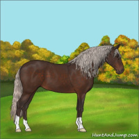 Horse Color:Silver Brown 