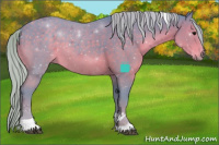 Horse Color:Watercolor Silver Black Sabino Tobiano 