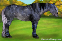 Horse Color:Void Watercolor Silver Blue Ice Roan Tobiano