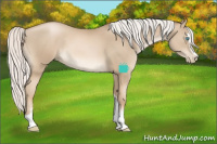 Horse Color:Silver Smoky Black Pearl Sabino 