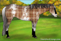 Horse Color:Plaid  White Spotted Bay Sabino Splash Varnish 