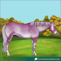 Horse Color:Watercolor Chocolate Palomino Onyx 