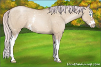 Horse Color:Watercolor White Spotted Silver Buckskin Pearl Dun Splash 