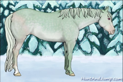 Horse Color:Watercolor Chocolate Silver Classic Cream Champagne Chinchilla Dun Sabino 