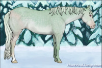 Horse Color:Watercolor Chocolate Silver Classic Cream Champagne Chinchilla Dun Sabino 