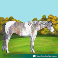 Horse Color:Nacre White Spotted Brown Tobiano 